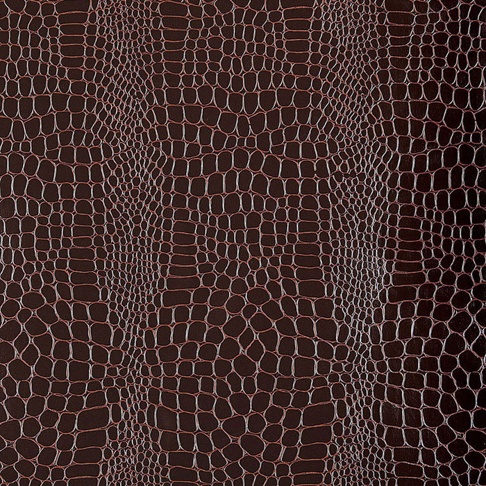 Schumacher Crocodile Java Wallpaper Sample 5005833