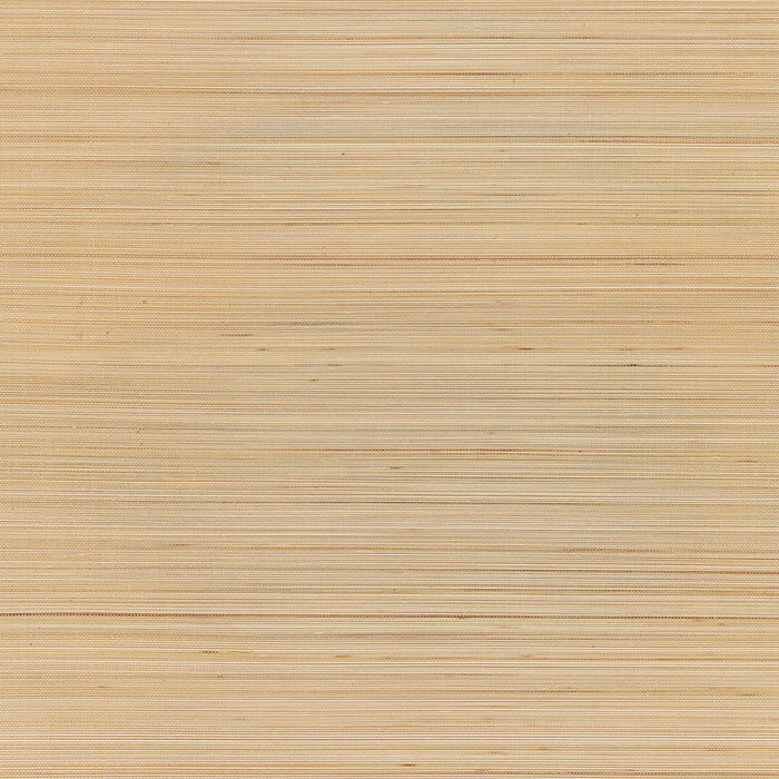 Schumacher Zen Bamboo Sesame Wallpaper 5006400