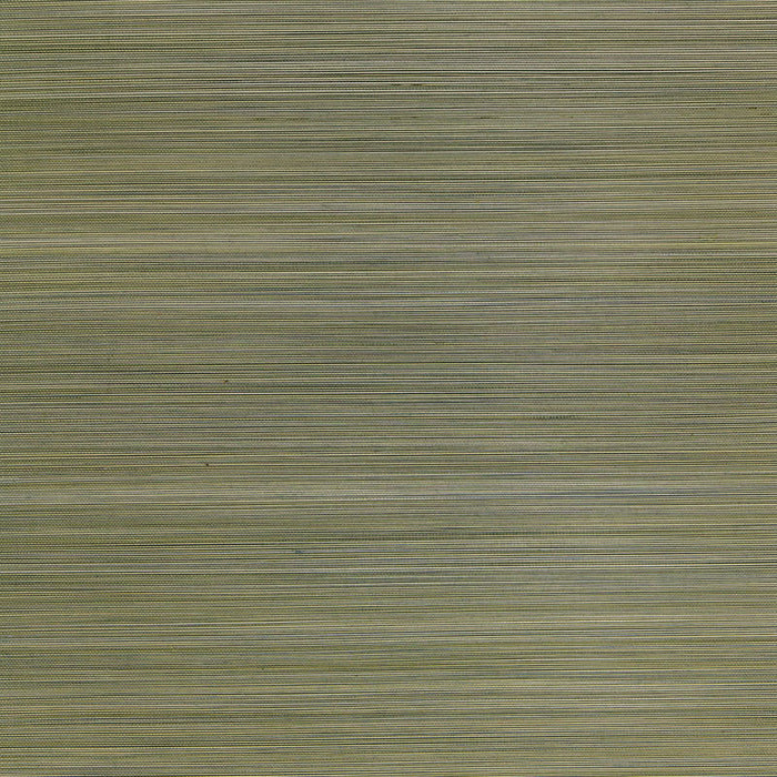 Schumacher Zen Bamboo Sage Wallpaper 5006401