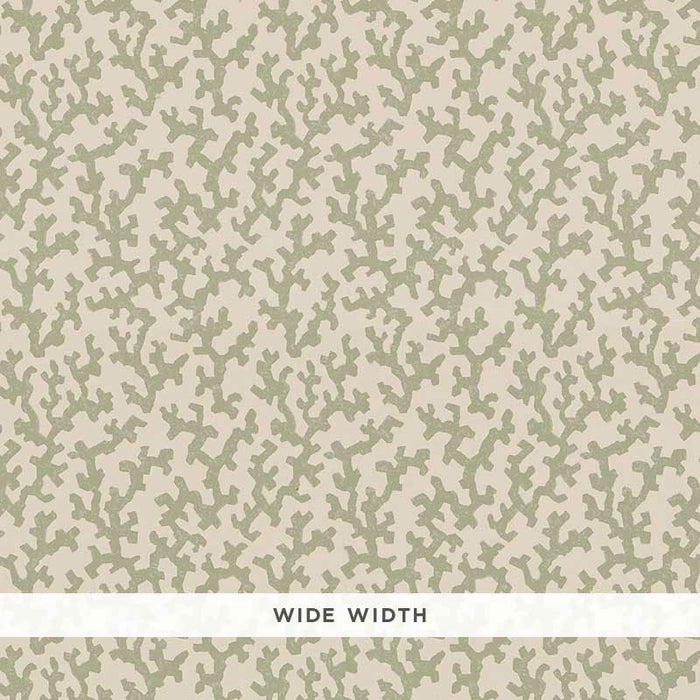 Schumacher Folly Sage Wallpaper Sample 5008003