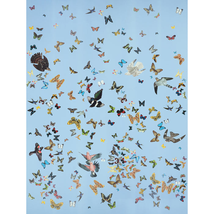 Schumacher Queen's Flight Panel Set Sky Wallpaper Sample 5010865