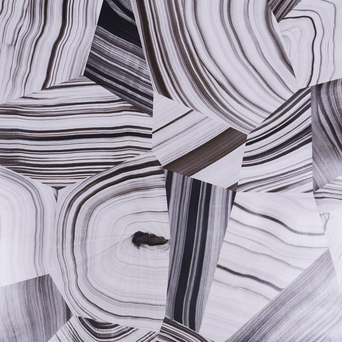Schumacher Agate Slice Black And White Wallpaper Sample 5013890