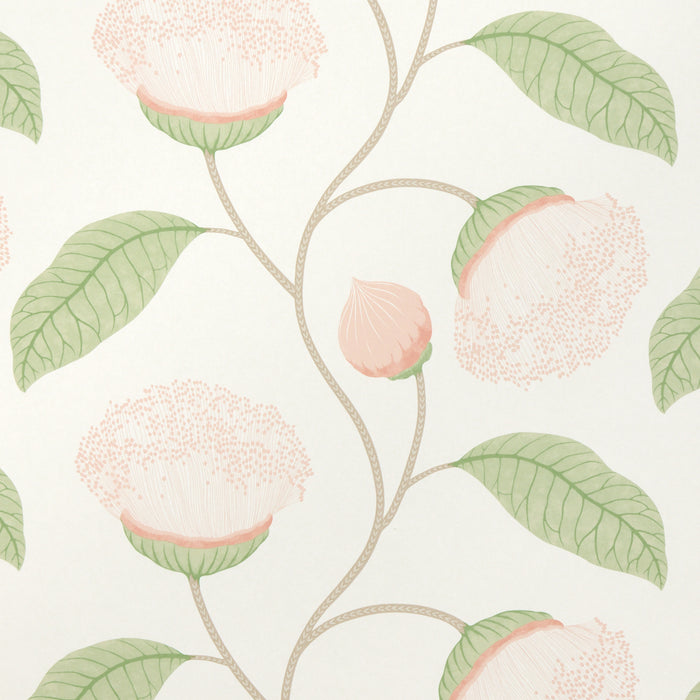 Schumacher Celinda Blush Wallpaper Sample 5016360