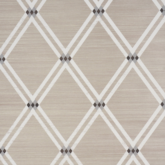 Schumacher Asolo Sisal Silver Wallpaper Sample 5016540