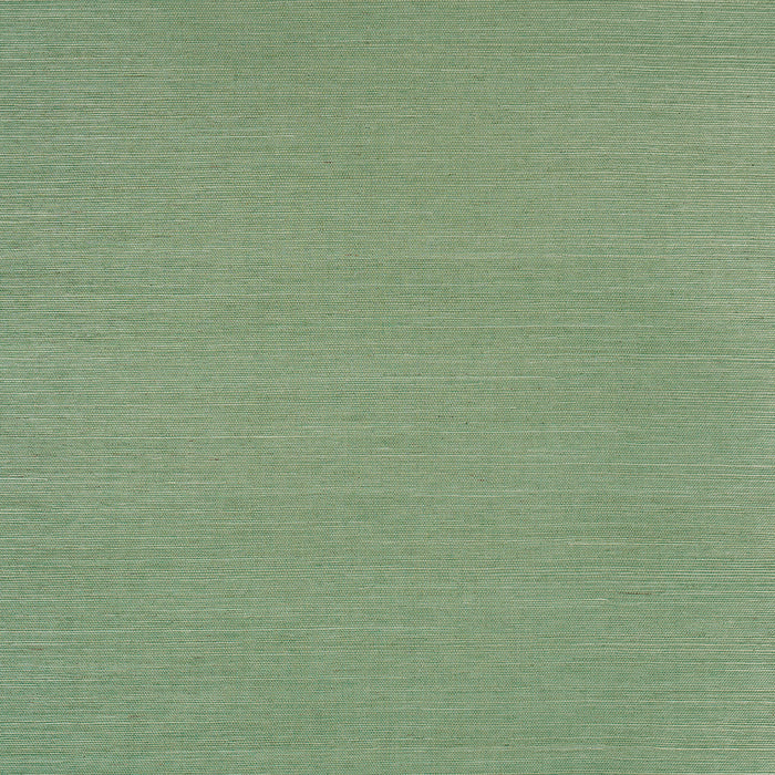 Schumacher Haruki Sisal Drive-Thru Safari Wallpaper Sample 5016854