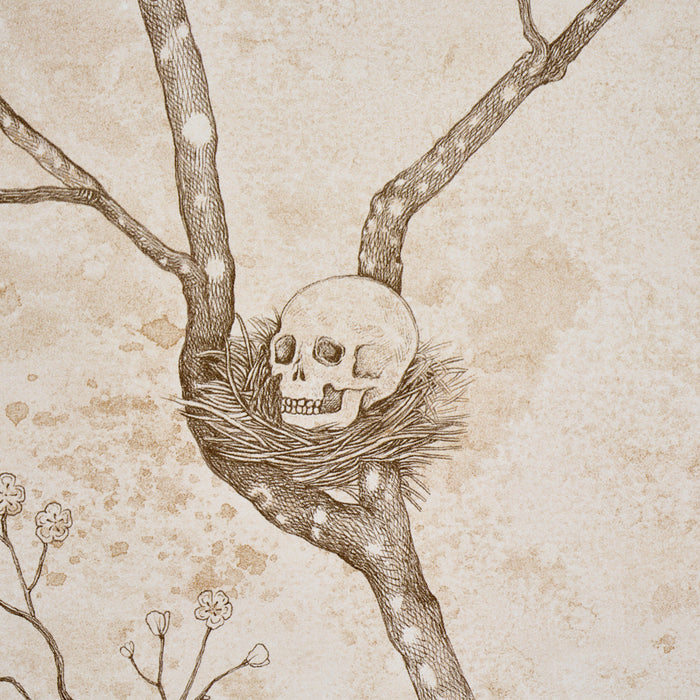 Schumacher Custis Orchard Sky Wallpaper Sample 5017342