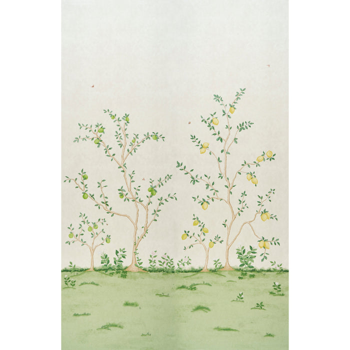Schumacher Citrus Blossom 2 Panel Set Cream Wallpaper Sample 5017160