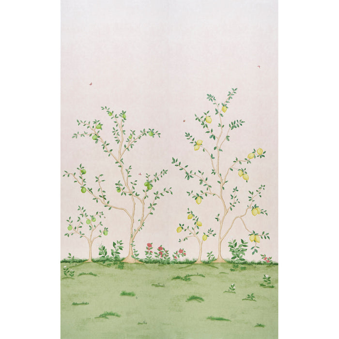 Schumacher Citrus Blossom 2 Panel Set Blush Wallpaper Sample 5017161