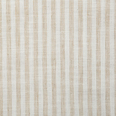 Pindler Dritton Sand Fabric 5310