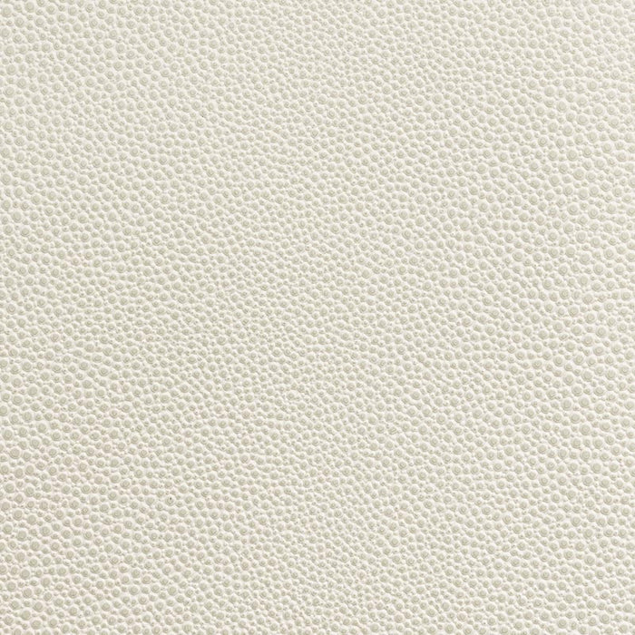 Holly Hunt Great Plains Shagreen Bone Fabric Sample 551/01