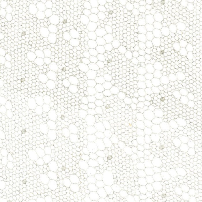 Schumacher Tracery Lace Sheer Silver Fabric 55490