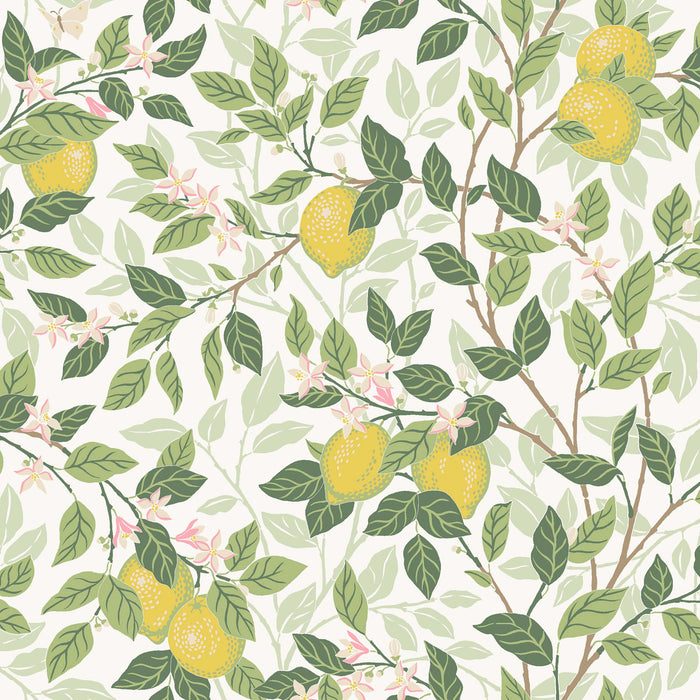 Schumacher CitrontrAD Ivory And Leaf Wallpaper 5702