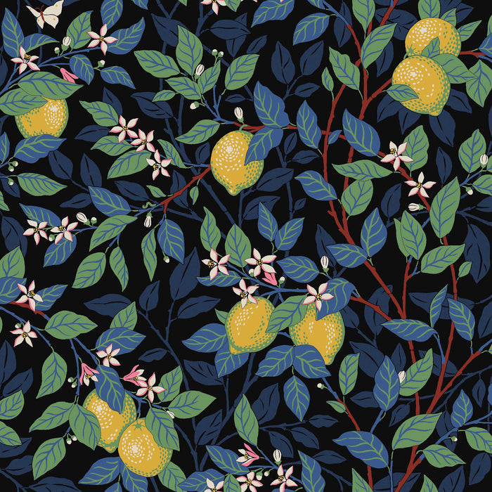 Schumacher CitrontrAD Spruce And Blue Wallpaper 5703