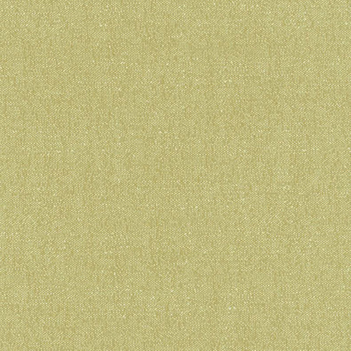 Schumacher Stone Texture Fern Fabric 62463