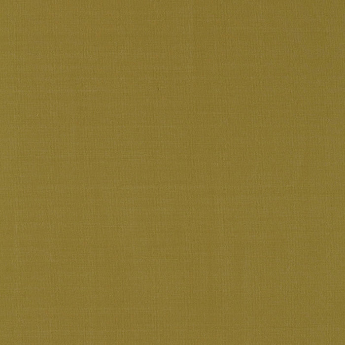 Schumacher Masaccio Taffeta Lichen Fabric 63910