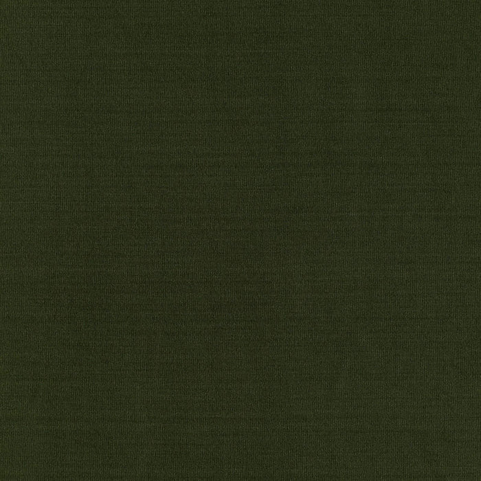 Schumacher Masaccio Taffeta Vert Fabric Sample 63911
