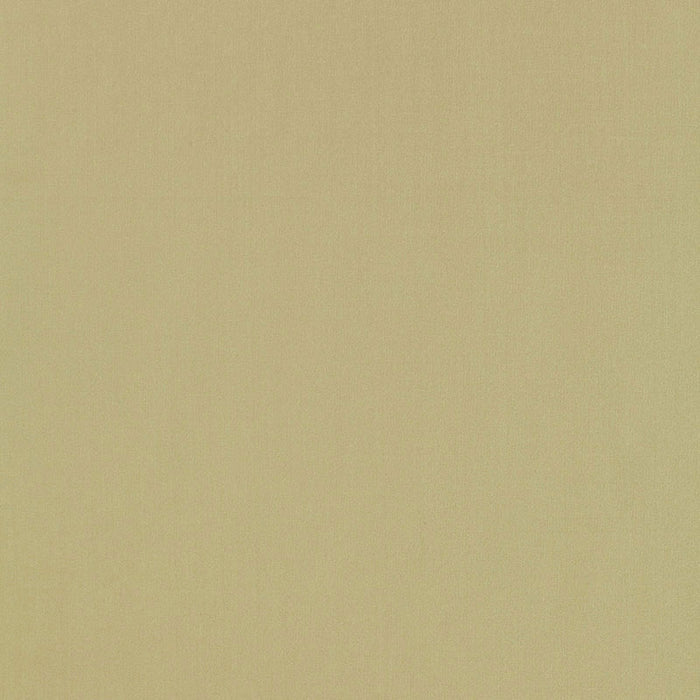 Schumacher Giordano Taffeta Celery Fabric 63962