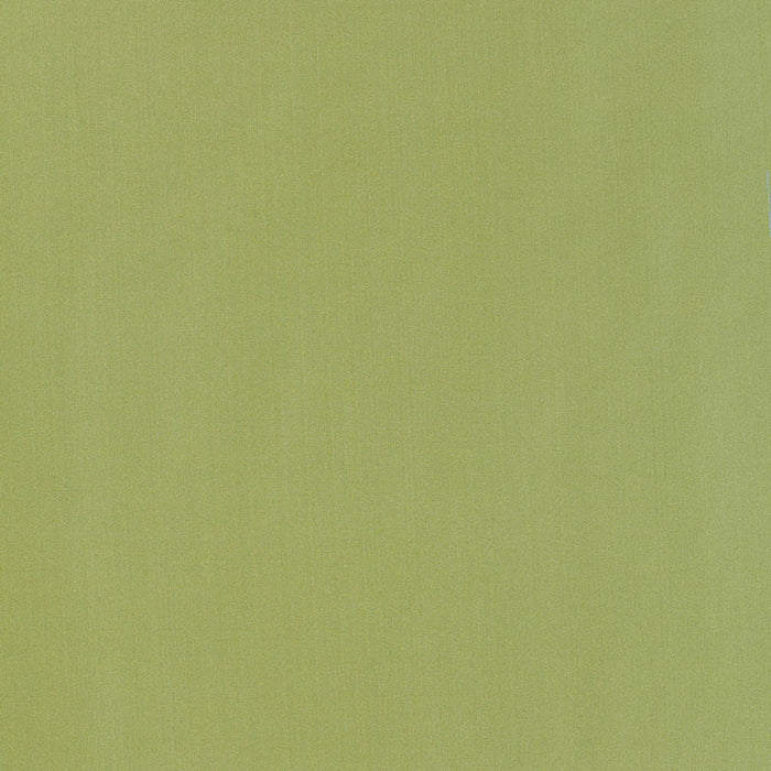 Schumacher Giordano Taffeta Kryptonite Fabric 63970