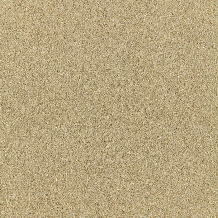 Schumacher San Carlo Mohair Velvet Putty Fabric 64859