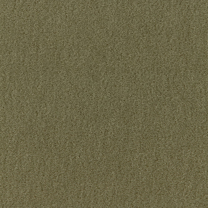 Schumacher San Carlo Mohair Velvet Moss Fabric Sample 64894