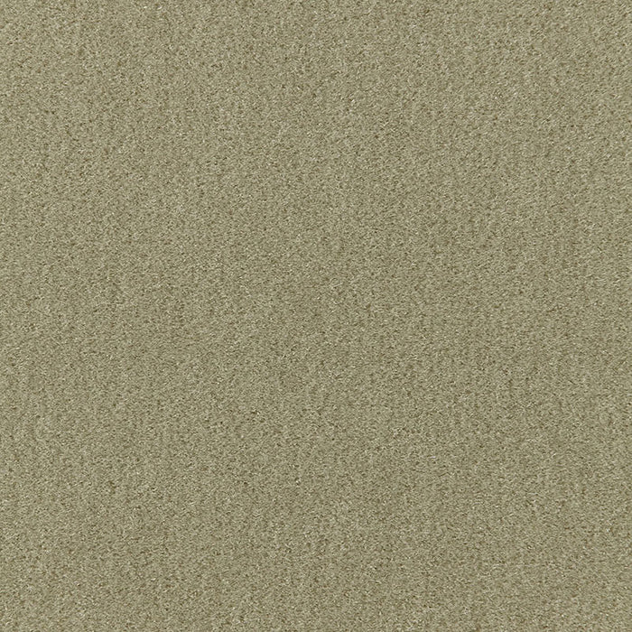 Schumacher Palermo Mohair Velvet Lichen Fabric 64931