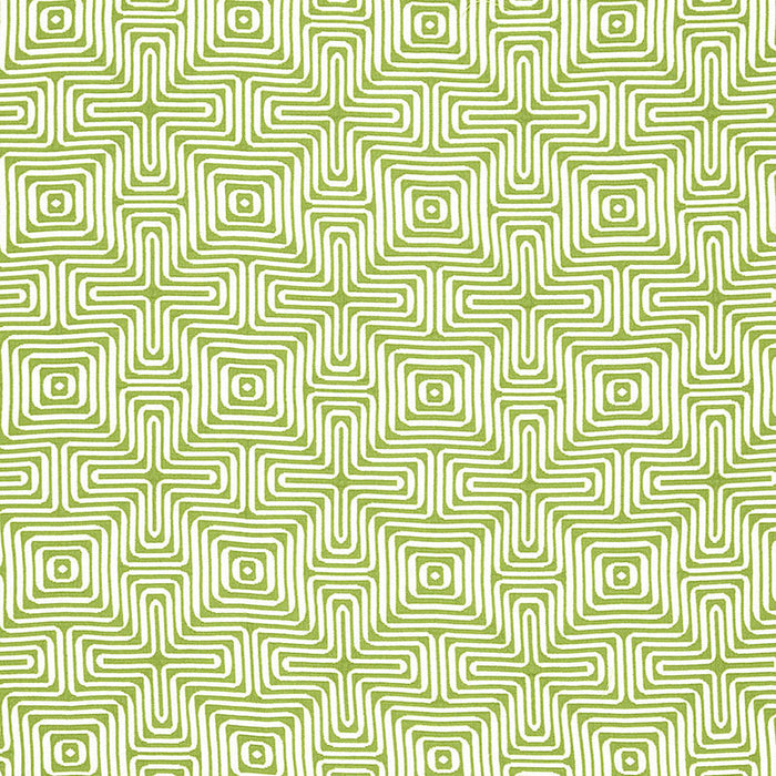 Schumacher Amazing Maze Indoor/Outdoor Palm Fabric 65321