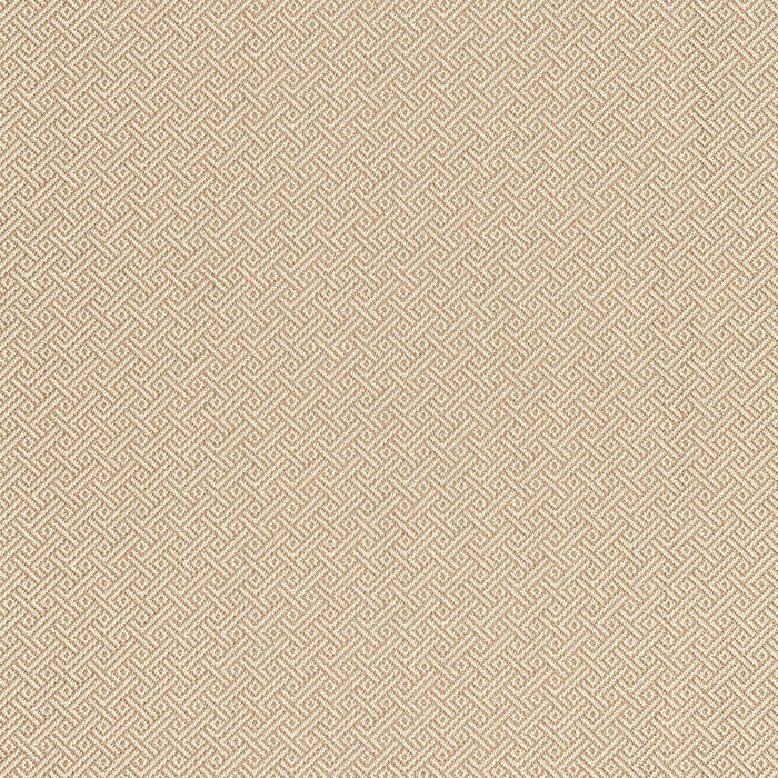 Schumacher Picard Weave Greige Fabric 66411