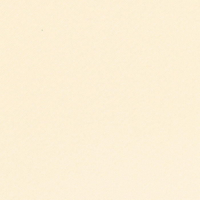 Schumacher Picard Weave Ivory Fabric 66413