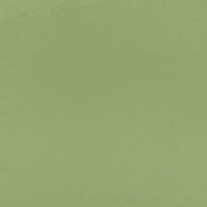 Schumacher Sophia Velvet Willow Fabric 68193