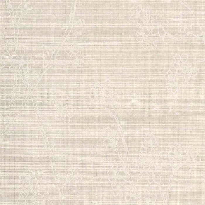 Calvin Almaty Cookie Wallpaper 69-2404