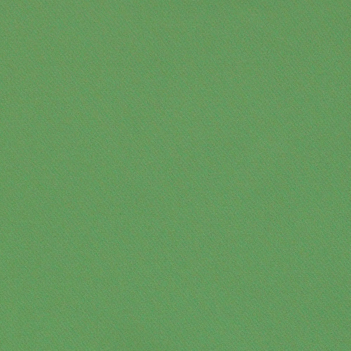 Schumacher Blake Polished Cotton Grass Fabric Sample 69593