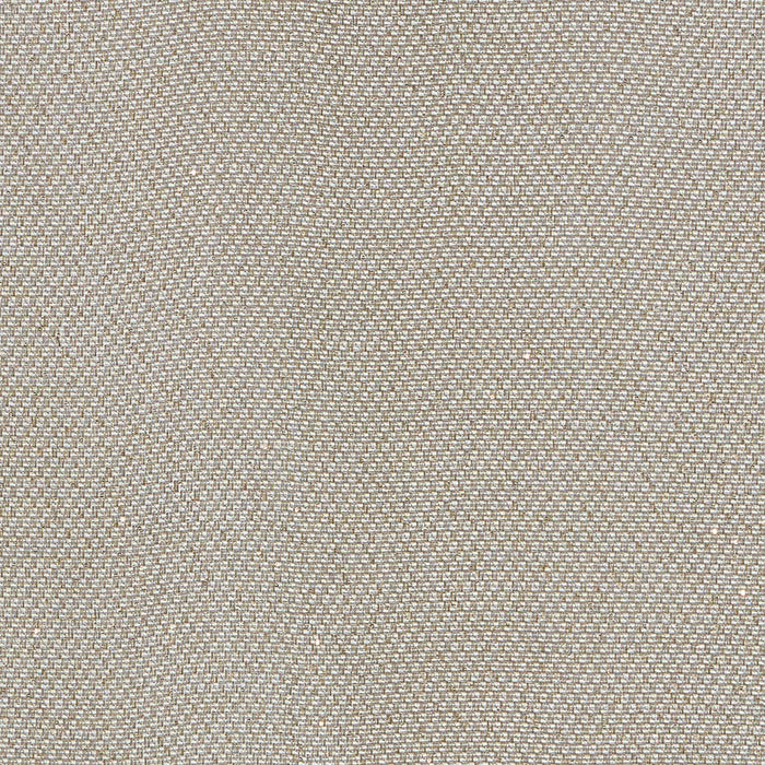 Schumacher Giorgio Sheer Platinum Fabric 69680