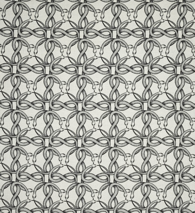 Pierre Frey Ouroboros Noir Fabric F3343001