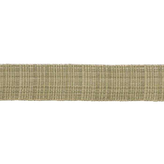 Schumacher Tweed Tape Medium Leaf Trim 70739