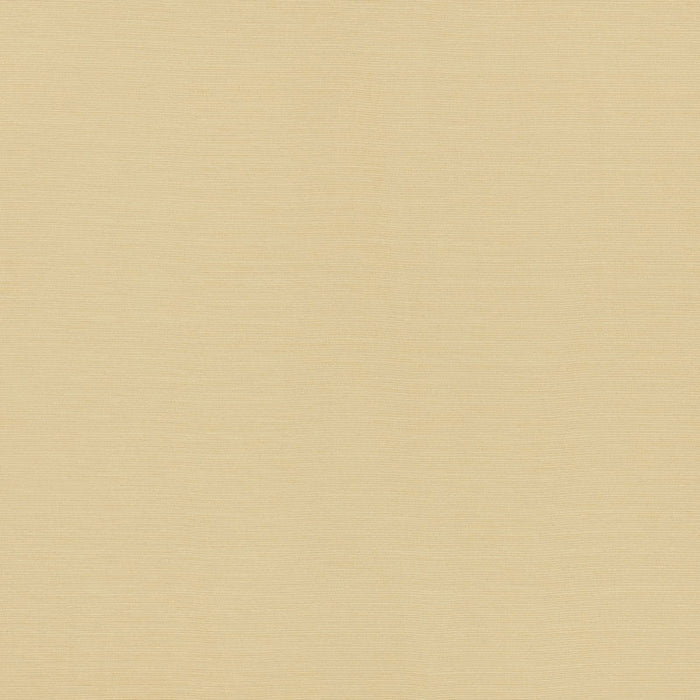 Schumacher Lampedusa Indoor/Outdoor Ecru Fabric Sample 70941