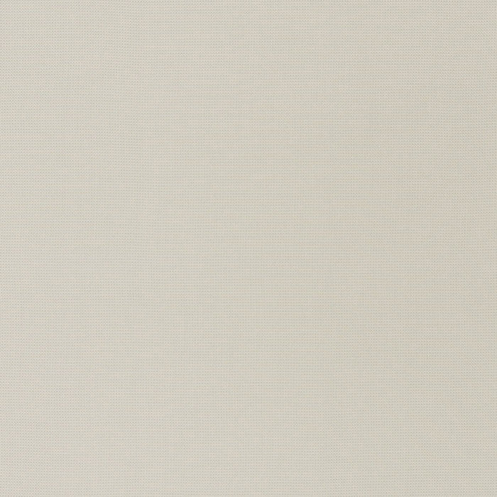 Schumacher Mondello Indoor/Outdoor Platinum Fabric 71020