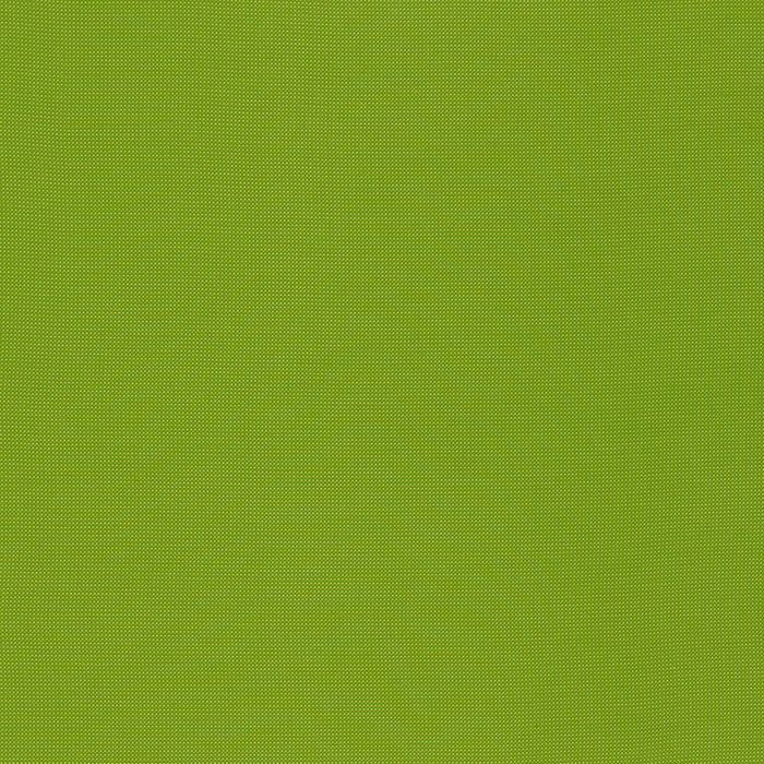 Schumacher Mondello Indoor/Outdoor Lime Fabric 71032
