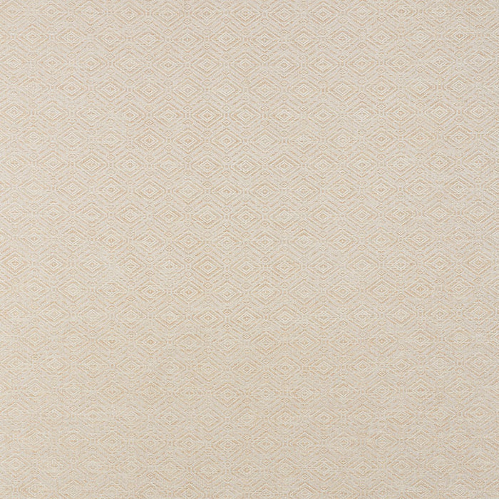 Schumacher Anderson Bamboo Fabric Sample 71131