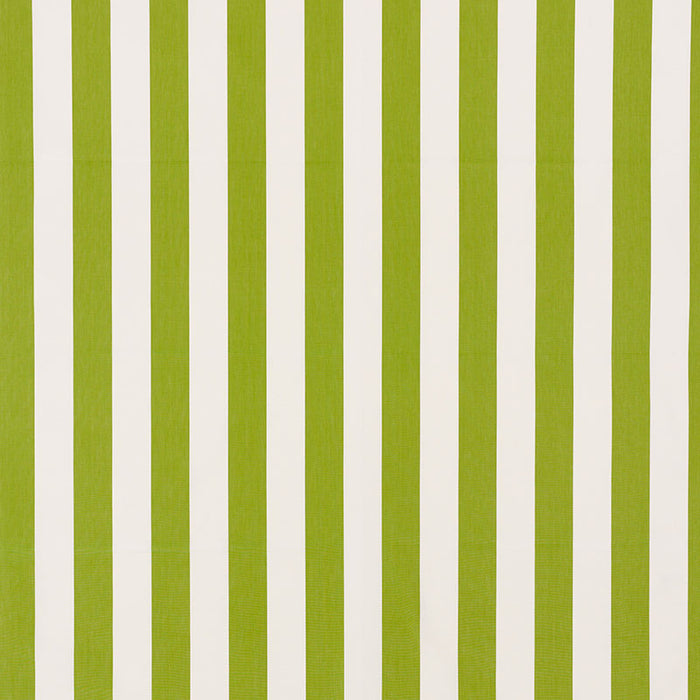 Schumacher Andy Stripe Green Fabric Sample 71326