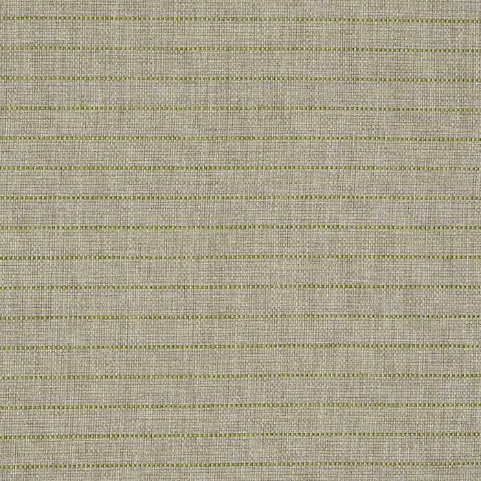 Schumacher Manning Stripe Indoor/Outdoor Lime Fabric Sample 71813
