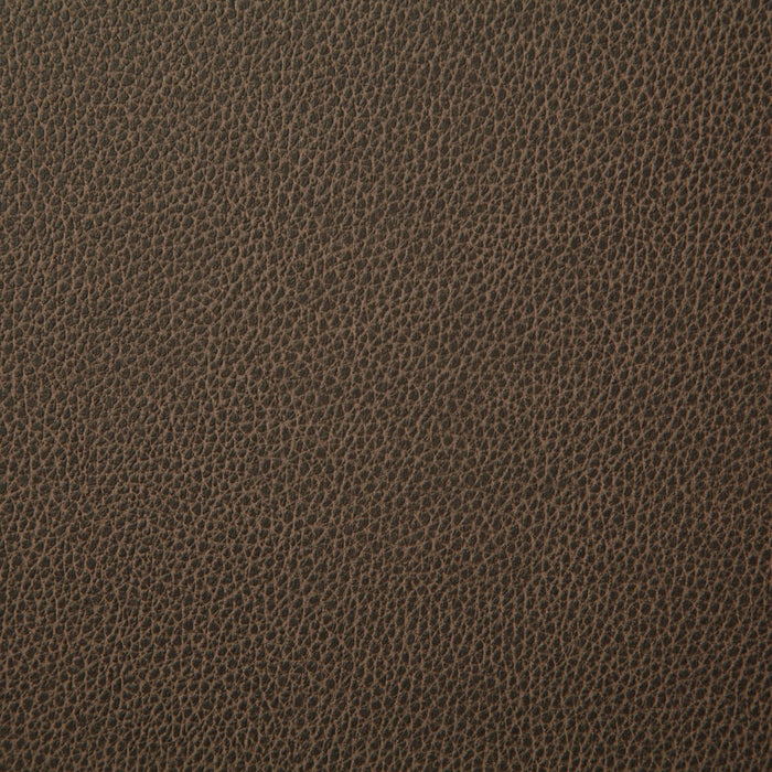 Pindler Sanders Latte Fabric 7225