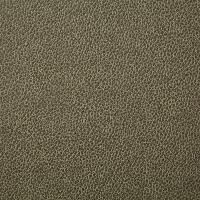 Pindler Sanders Leaf Fabric 7225