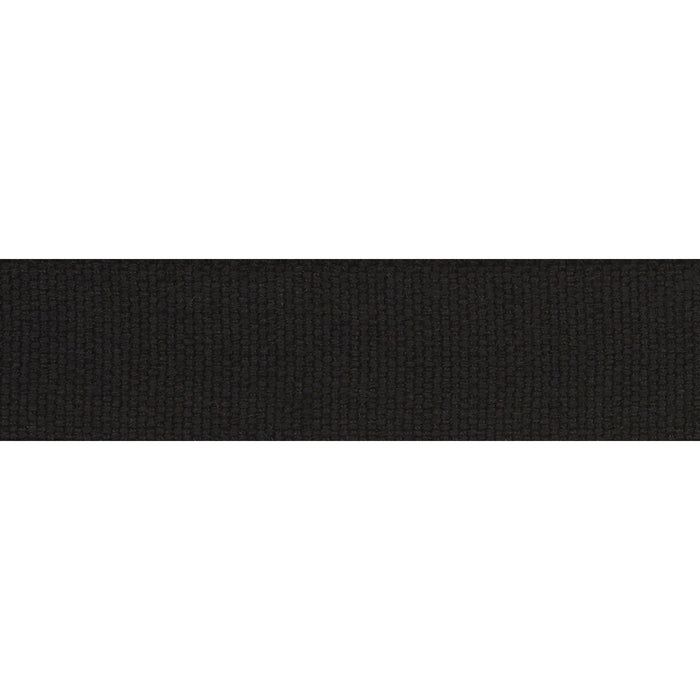 Schumacher Ashwood Tape Indoor/Outdoor Black Trim 72416