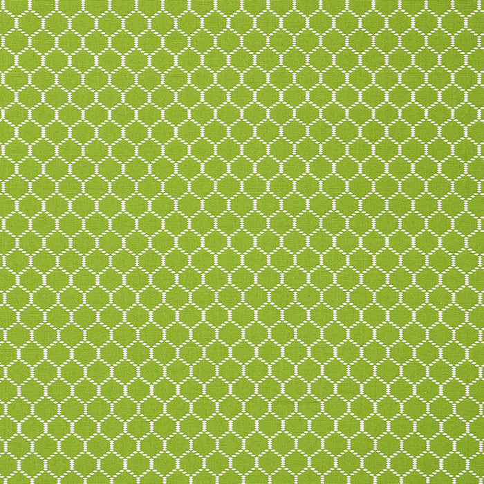 Schumacher Fishnet Leaf Fabric 73092