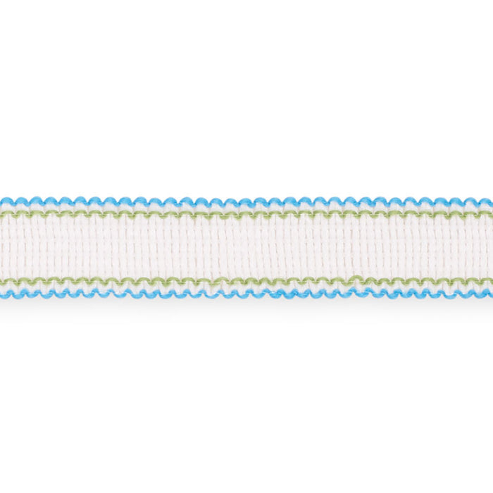 Schumacher Filippa Tape Indoor/Outdoor Aqua Trim 73571