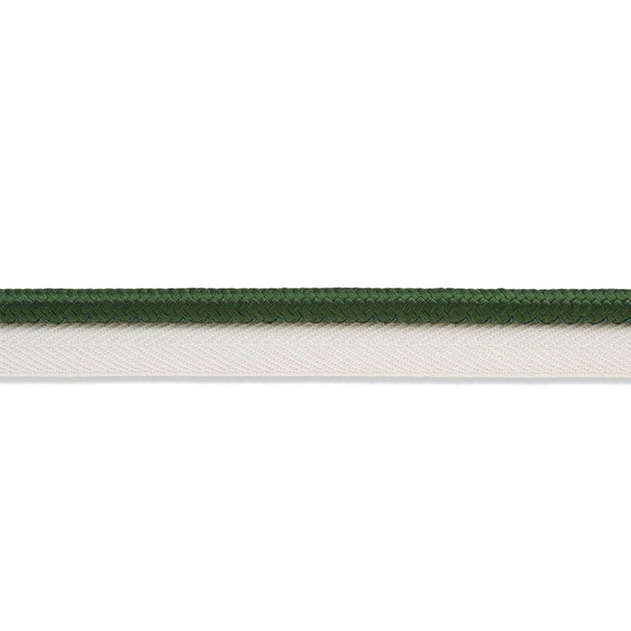 Schumacher Gustave Silk Lip Cord Wide Emerald Trim 74574