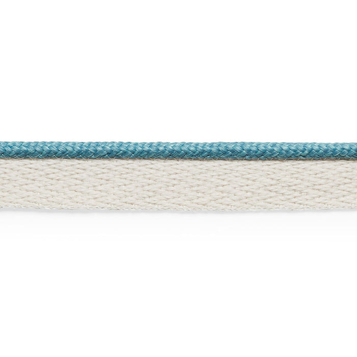 Schumacher Coleman Lip Cord Ocean Trim Sample 74924