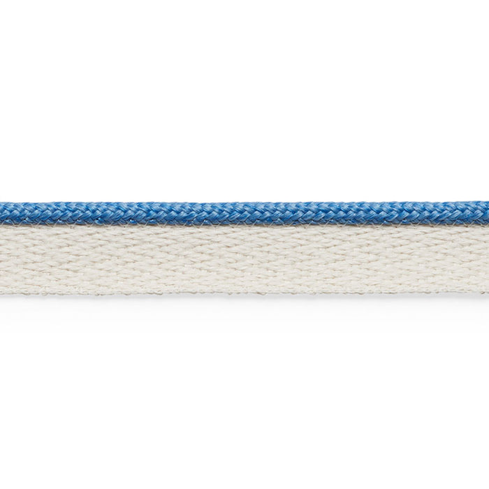 Schumacher Coleman Lip Cord Delft Trim Sample 74925