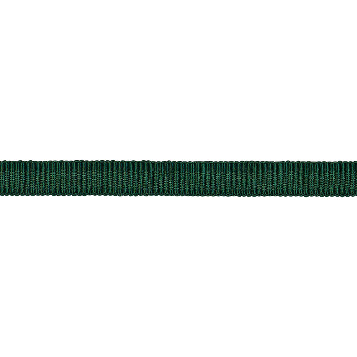 Schumacher Narrow Faille Tape Emerald Trim Sample 74991
