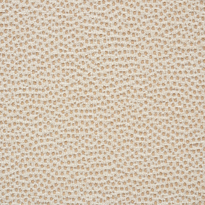 Schumacher Stingray Champagne Fabric Sample 75200